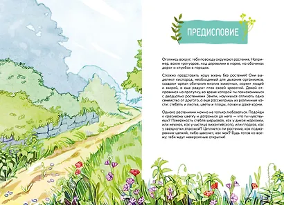 Растения вокруг нас - фото 5