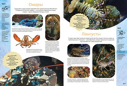 Животные морей и океанов. Большая школьная энциклопедия - фото 6