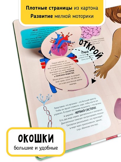Как это работает? Мои первые открытия - фото 5