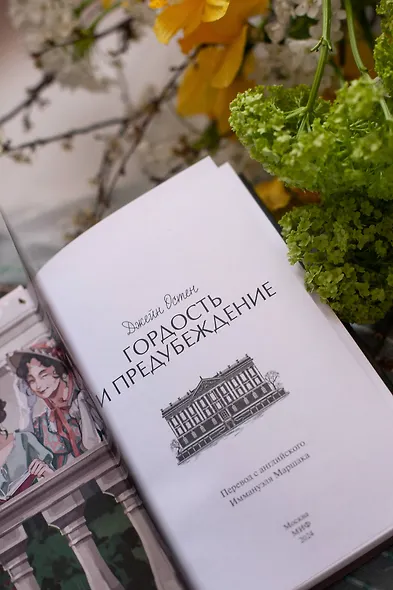 Гордость и предубеждение. Вечные истории. Young Adult - фото 10