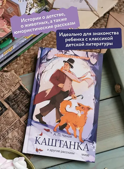 Каштанка и другие рассказы (Внеклассное чтение) - фото 5