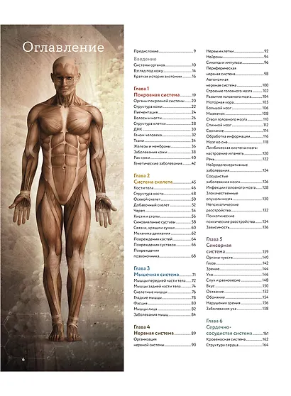Анатомия человека. Визуальный гид по всем системам организма: норма и патологии - фото 9