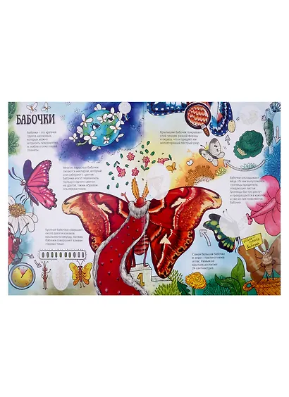 Атлас насекомых - фото 3