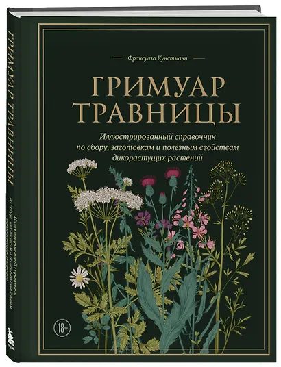 Гримуар травницы. Иллюстрированный справочник по сбору, заготовкам и полезным свойствам дикорастущих растений - фото 3