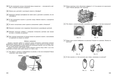 ЕГЭ-2024. Биология. Тематические тренировочные задания - фото 10