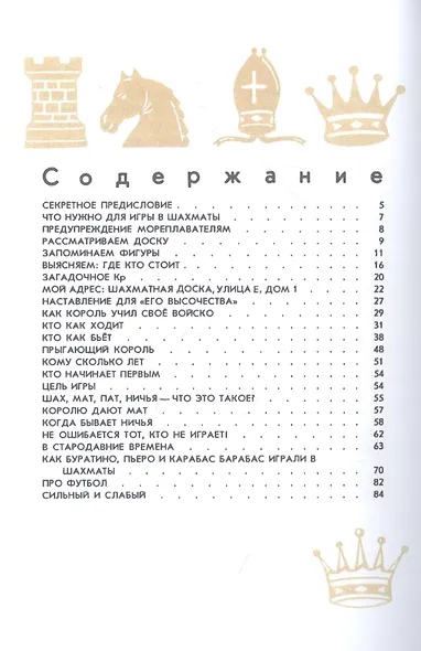 Я играю в шахматы - фото 2