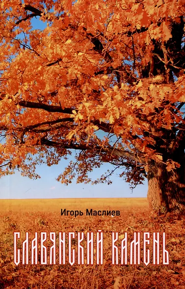 Славянский камень - фото 1