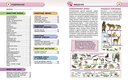 Животные - фото 10