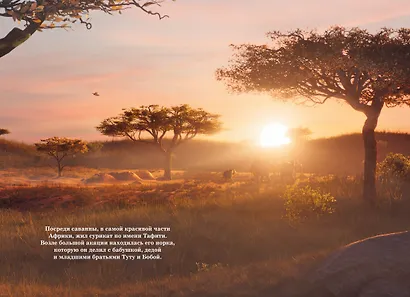 Тафити. Приключения на краю света. Официальная новеллизация - фото 4