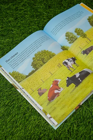 Животные рядом с нами - фото 9