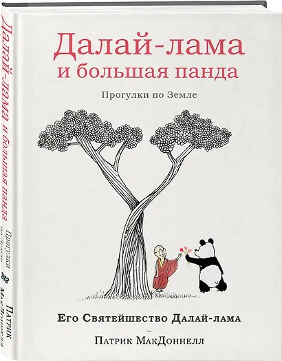 Далай-лама и большая панда. Прогулки по Земле - фото 3
