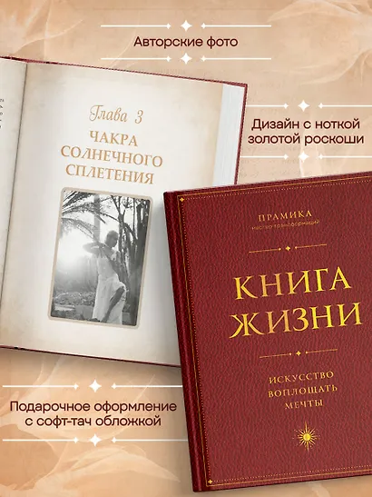 Книга Жизни. Искусство воплощать мечты - фото 8