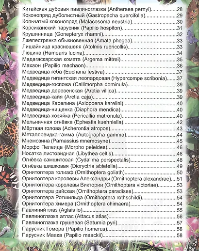Бабочки. Энциклопедия - фото 3