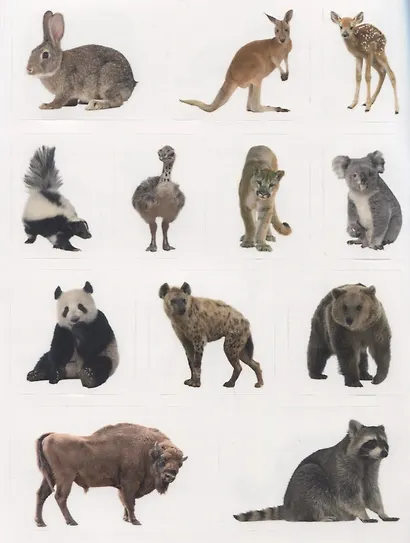 Дикие животные. Дополни картинку! Внутри 48 фото-наклеек! - фото 4