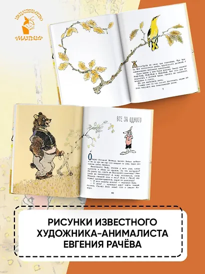 Весёлые зайцы. Рисунки Е. Рачева - фото 6