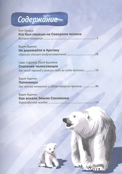 Героические истории покорения Арктики: сборник - фото 2