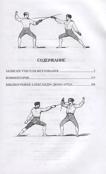 Записки учителя фехтования. Роман - фото 6