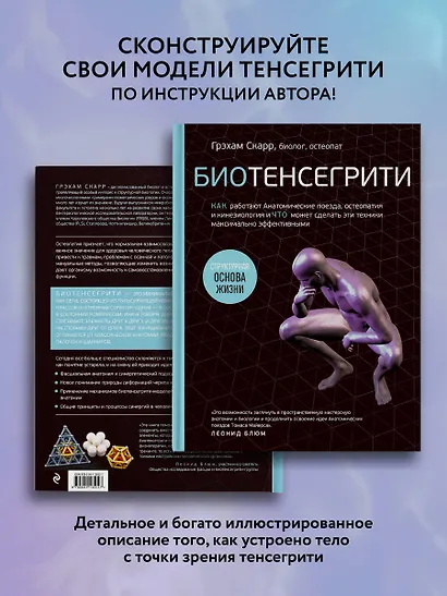 Биотенсегрити. Как работают Анатомические поезда, остеопатия и кинезиология и что может сделать эти техники максимально эффективными - фото 6