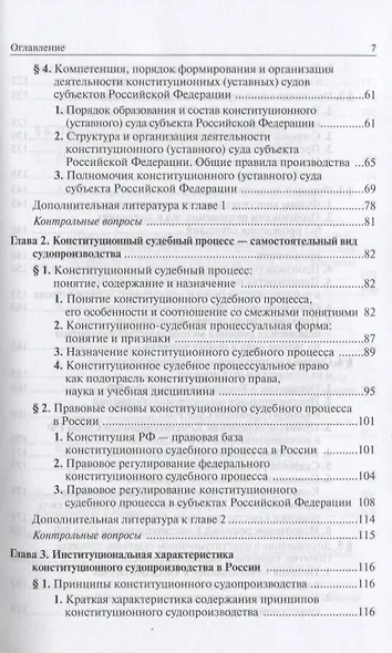 Конституционный судебный процесс - фото 3