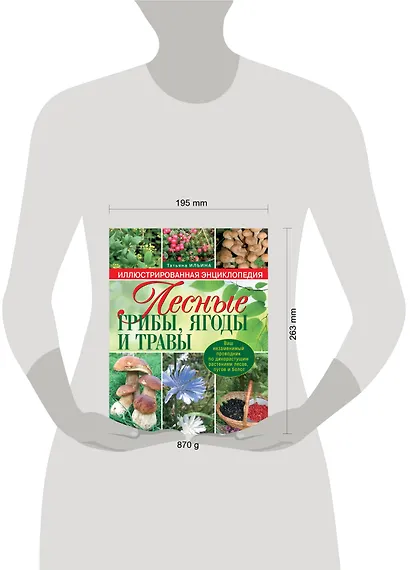 Лесные грибы, ягоды и травы - фото 3