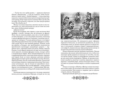 Похождения бравого солдата Швейка: Том 1. Том 2 (комплект из 2 книг) - фото 6
