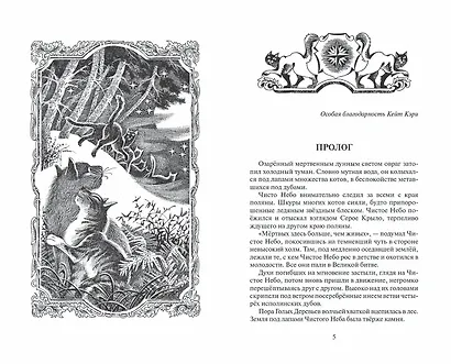 Коты-воители. Цикл Начало племен. Время выбора - фото 2