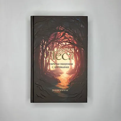 Магия леса. Секреты общения с деревьями - фото 4