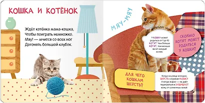 Книжки с окошками. Мамы и малыши - фото 4