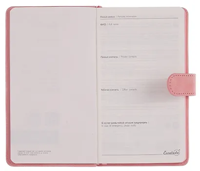 Ежедневник недат. А6+ 120л 110x190 "Тиволи" розовый, кожзам, тв.переплет, тисн.фольгой, магнит.клапан, офсет, загругл.углы, справ.мат-лшы, ляссе, инд.уп - фото 3