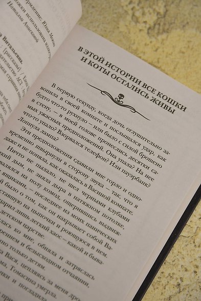 Самая страшная книга. Мальчик-обжора - фото 9