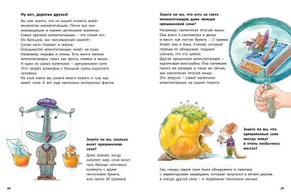 Кто такая орешниковая соня? Познавательные истории - фото 6