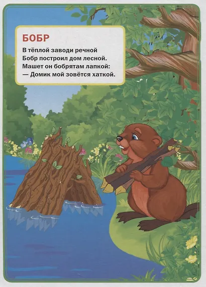 Кто где живет. - фото 2