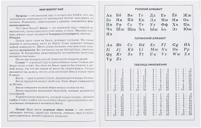 Дневник для младших классов, "Стильный кот" - фото 8