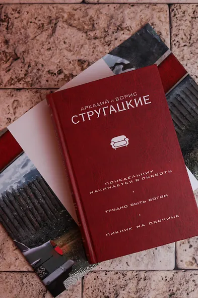 Понедельник начинается в субботу. Трудно быть богом. Пикник на обочин - фото 8