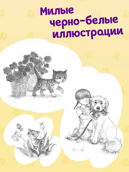 Котенок Билли, или Хрупкие лапки (выпуск 53) - фото 5