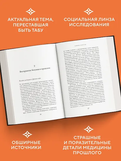 Камень глупости: Всемирная история безумия - фото 4