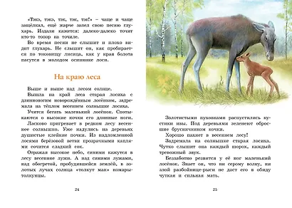 Год в лесу. Рассказы о природе - фото 9