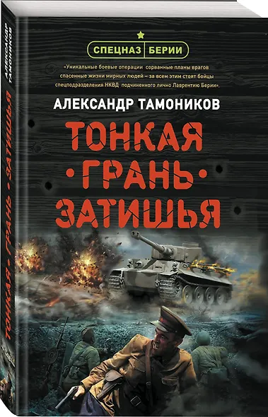 Тонкая грань затишья - фото 3