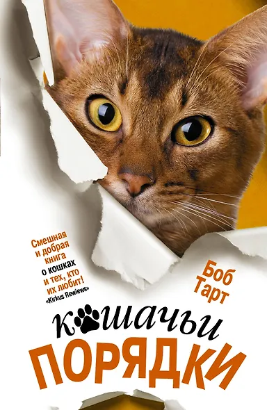 Кошачьи порядки - фото 1