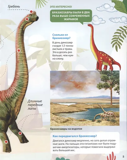 ПЕРВАЯ ДЕТСКАЯ ЭНЦИКЛОПЕДИЯ. ВСЁ О ДИНОЗАВРАХ МАЛЫШАМ - фото 3