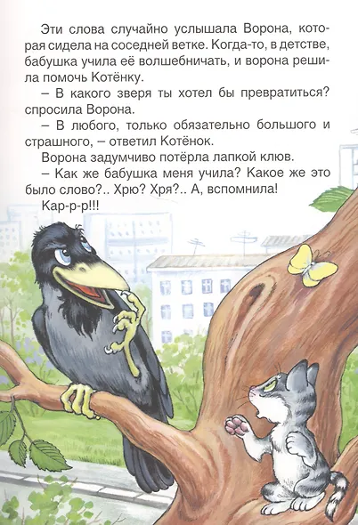 Котенок с улицы Лизюкова - фото 3