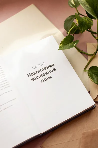 Больше силы в каждом дне. Источники жизненной силы для самого важного - фото 5