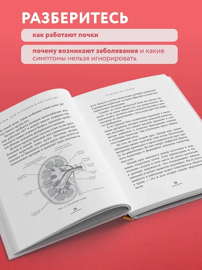 Почки под защитой. Все, о чем необходимо знать при заболеваниях почек - фото 5