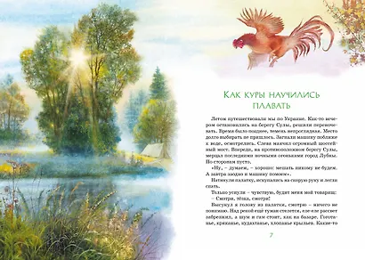 Зачем белке хвост. Рассказы - фото 9