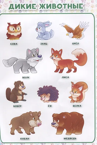 Животные - фото 3