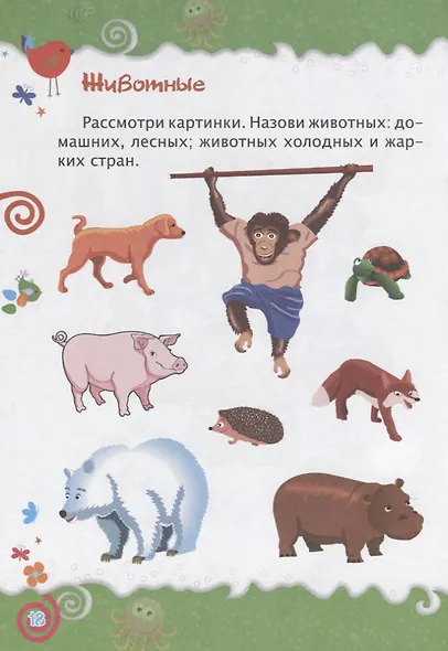 Логика. Окружающий мир. Детям от 4 лет - фото 4