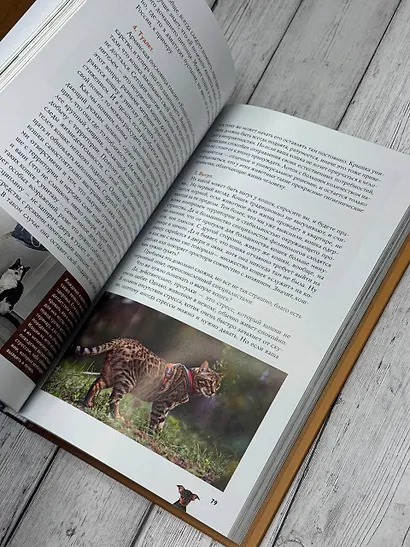 Домашние животные. Популярный иллюстрированный гид - фото 5