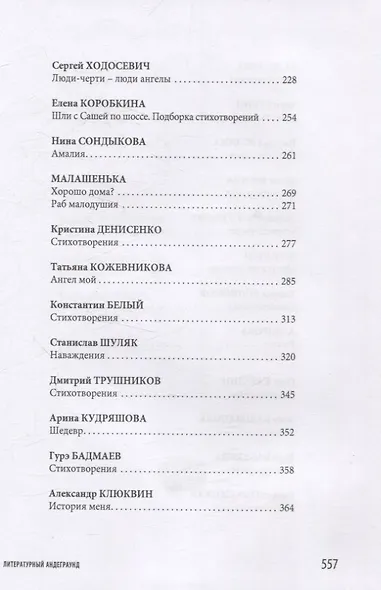 Сложные щи: литературный андеграунд - фото 5