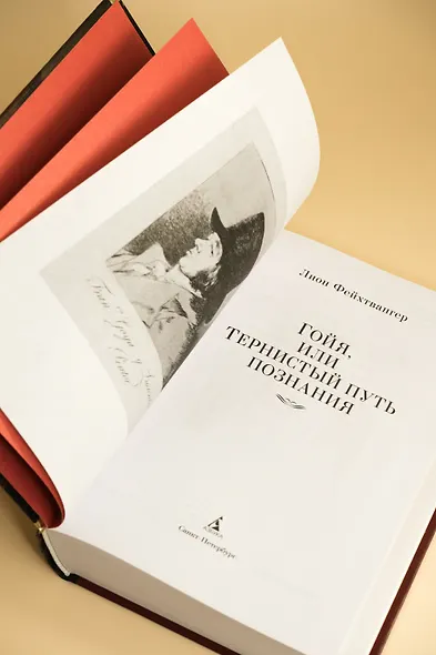 Гойя, или Тернистый путь познания - фото 9