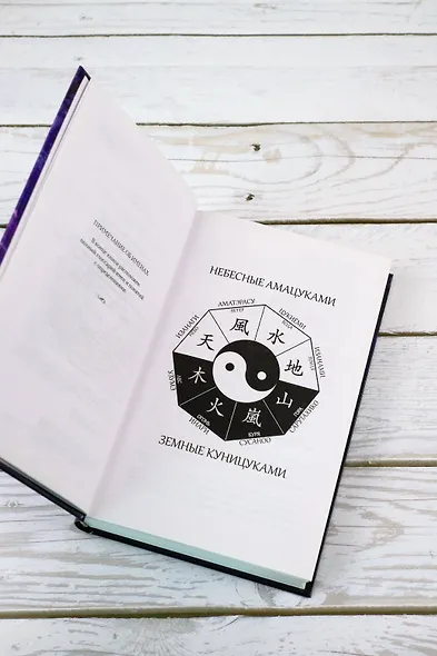 Бессмертный огонь - фото 9